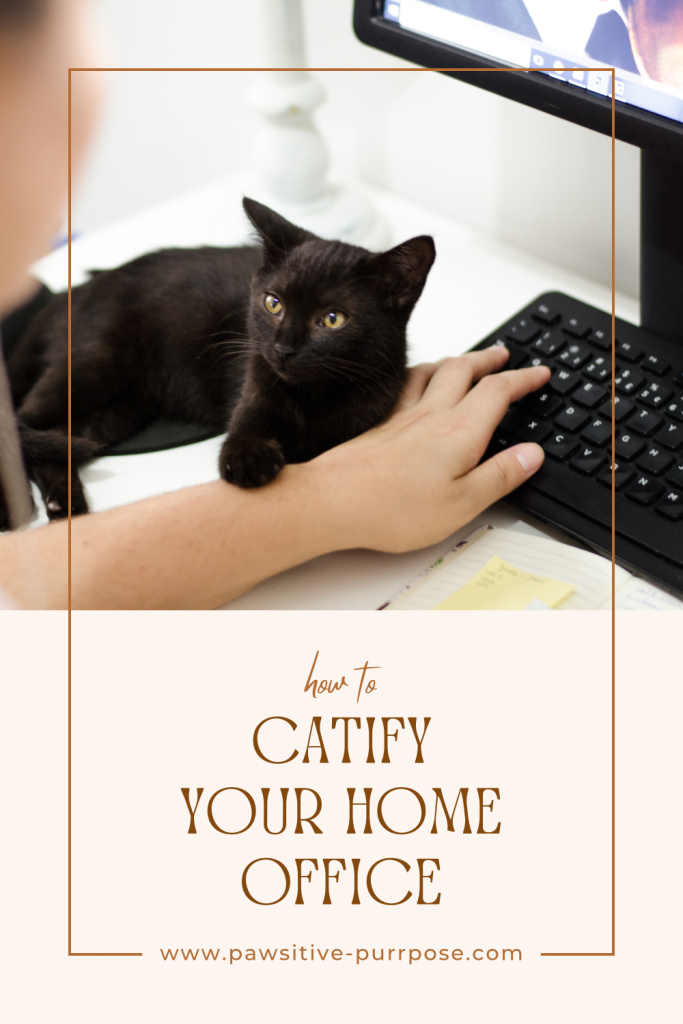 Black cat sitting on a desk and keyboard while a person works from home 