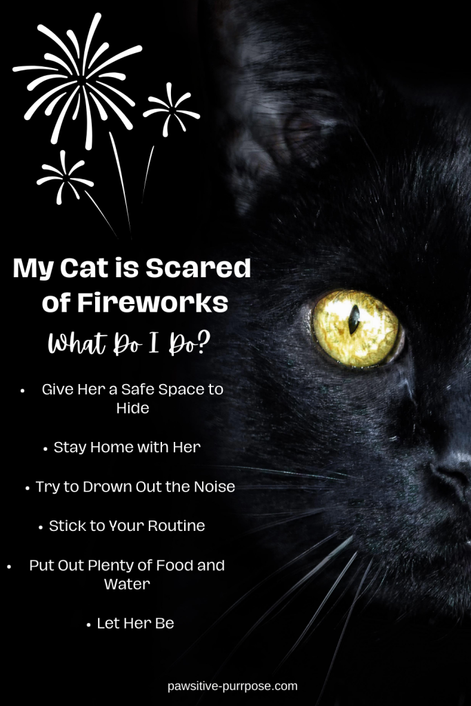 Black cat scared of fireworks with list of ways to help your cat calm down during fireworks