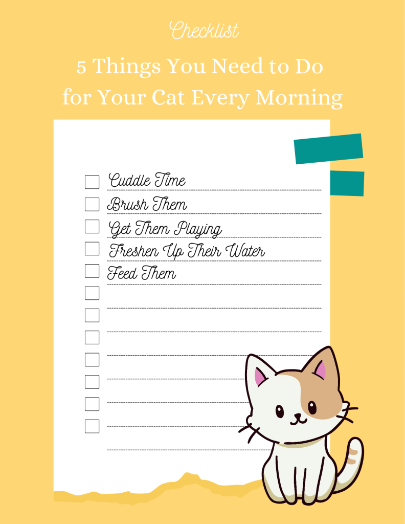 Image of a cat with a checklist of five things you need to do for your cat every morning
